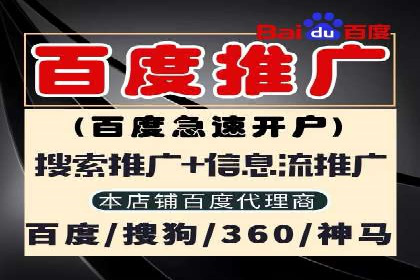 成功SEM竞价托管案例分析报告